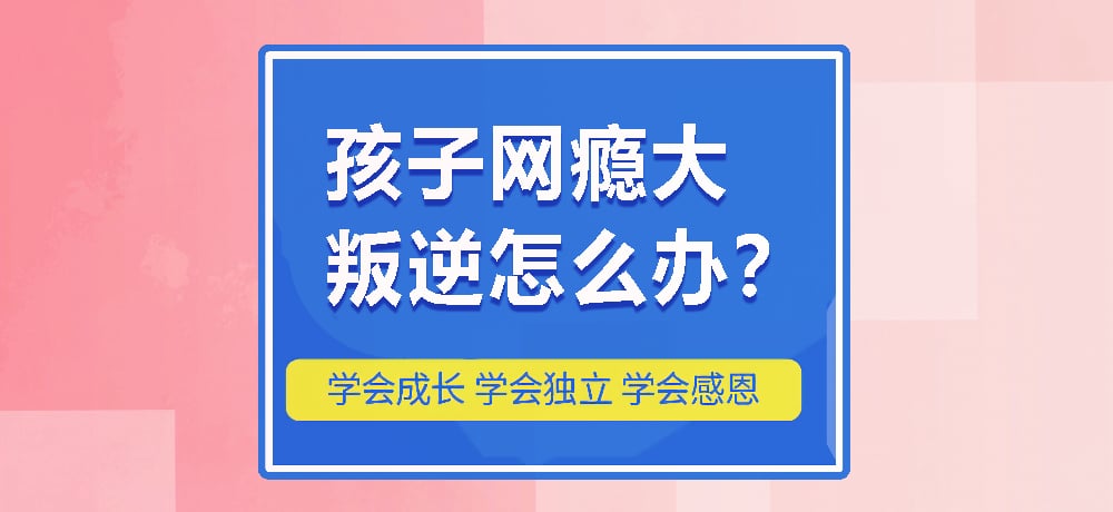 戒网瘾叛逆图片