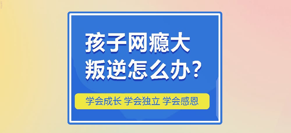 戒网瘾叛逆图片