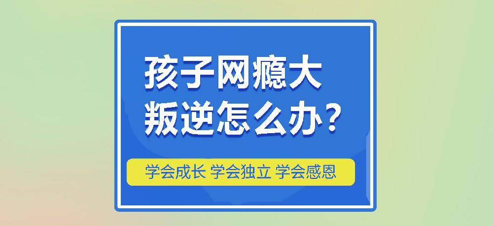 戒网瘾叛逆图片