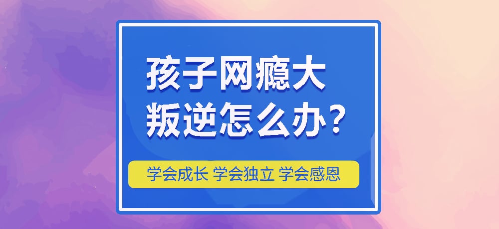 戒网瘾叛逆图片