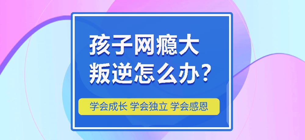 戒网瘾叛逆图片