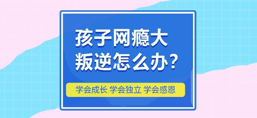 戒网瘾叛逆图片