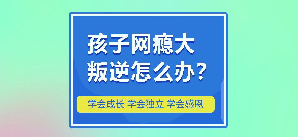 戒网瘾叛逆图片