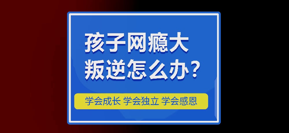 戒网瘾叛逆图片