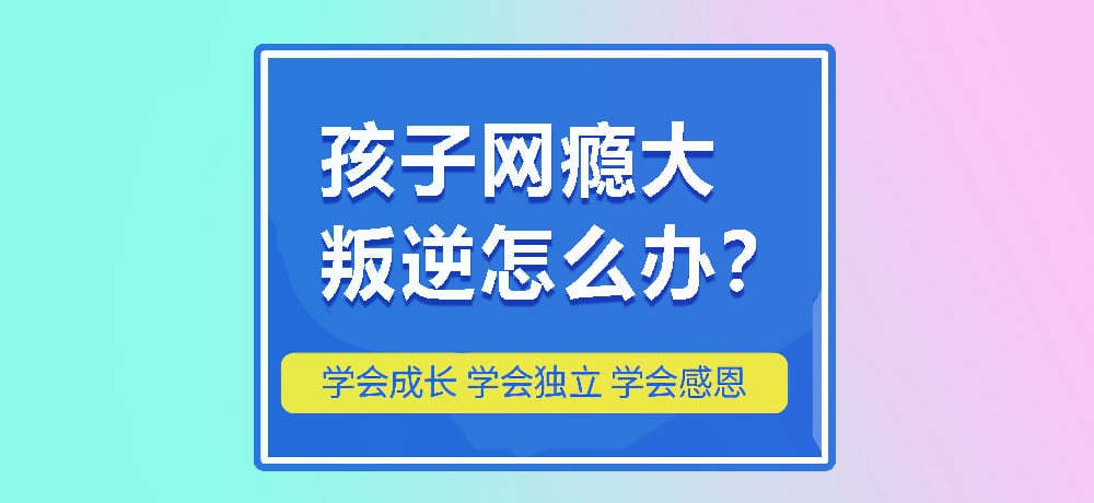 戒网瘾叛逆图片