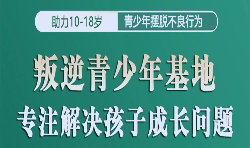 叛逆特训学校优势