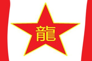 龙行叛逆特训学校logo图