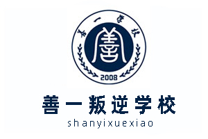 善一叛逆戒网瘾学校logo图