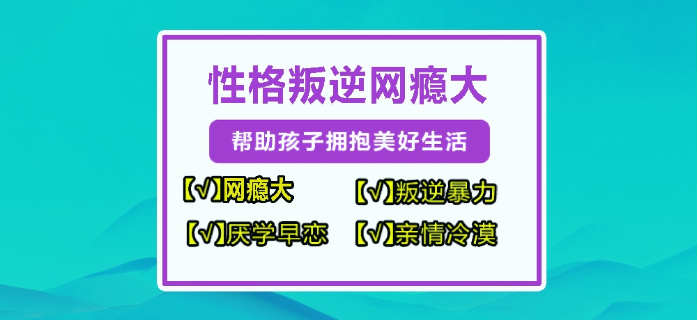 叛逆戒网瘾学校