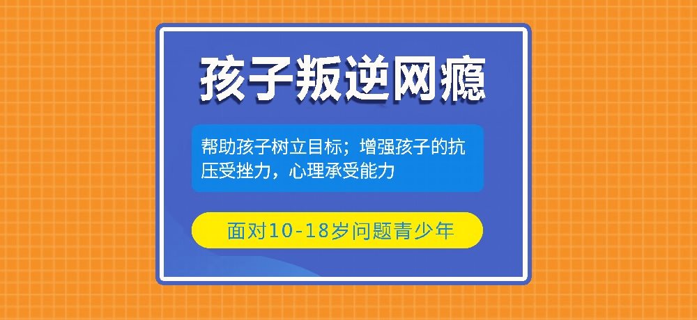 叛逆戒网瘾学校