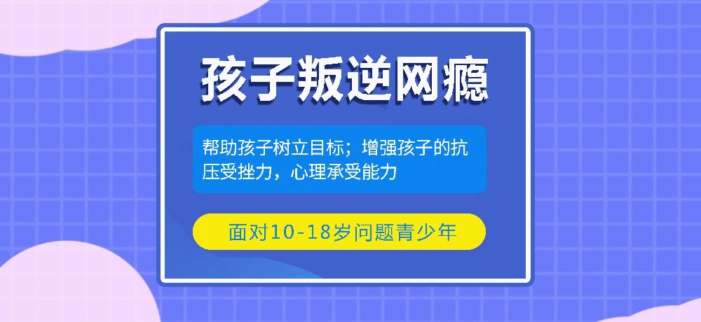 叛逆戒网瘾学校