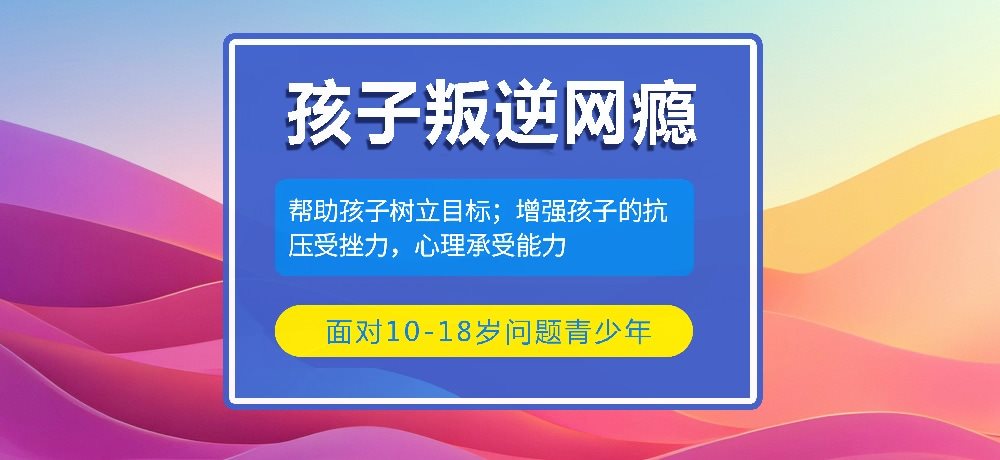 叛逆戒网瘾学校