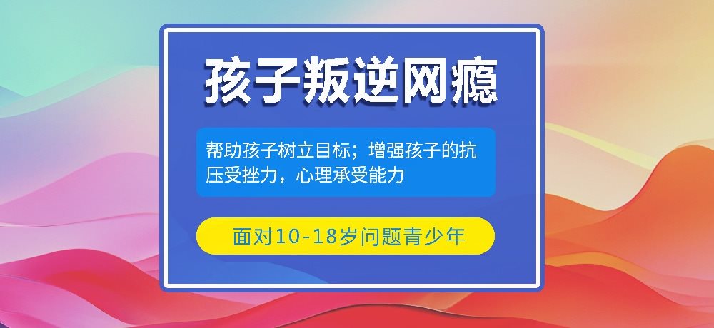 叛逆戒网瘾学校