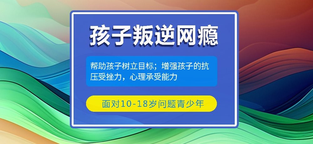 叛逆戒网瘾学校