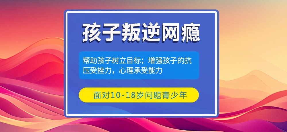 叛逆戒网瘾学校