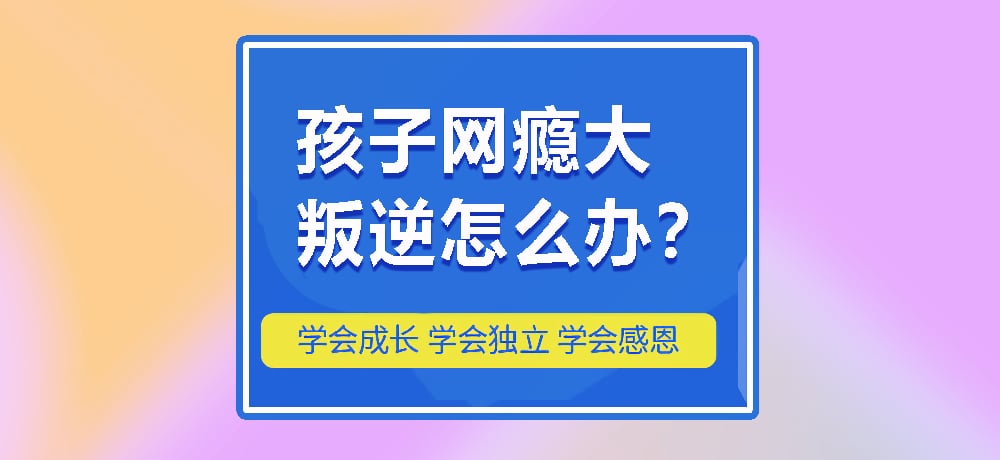 叛逆戒网瘾图片