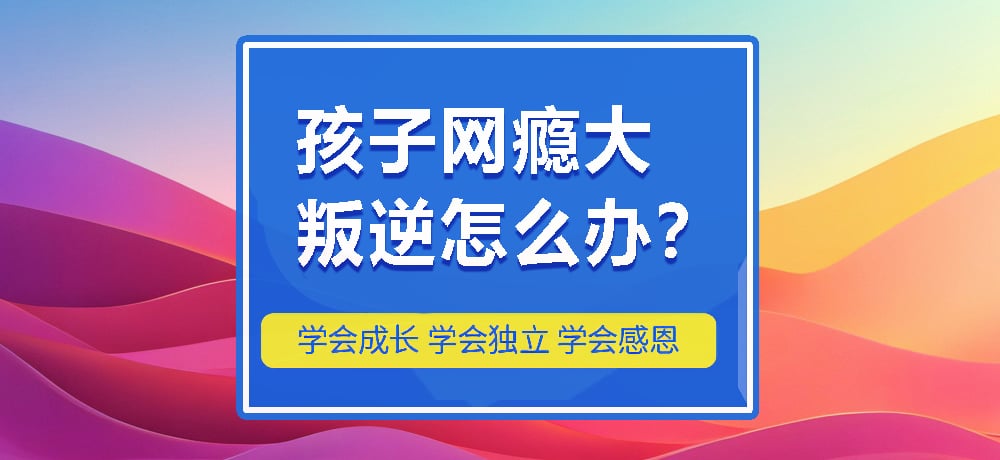 叛逆戒网瘾图片