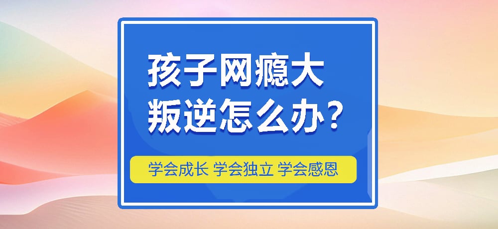 叛逆戒网瘾图片