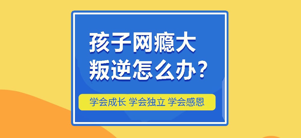 叛逆戒网瘾图片