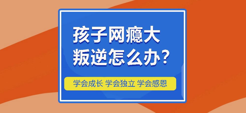 叛逆戒网瘾图片