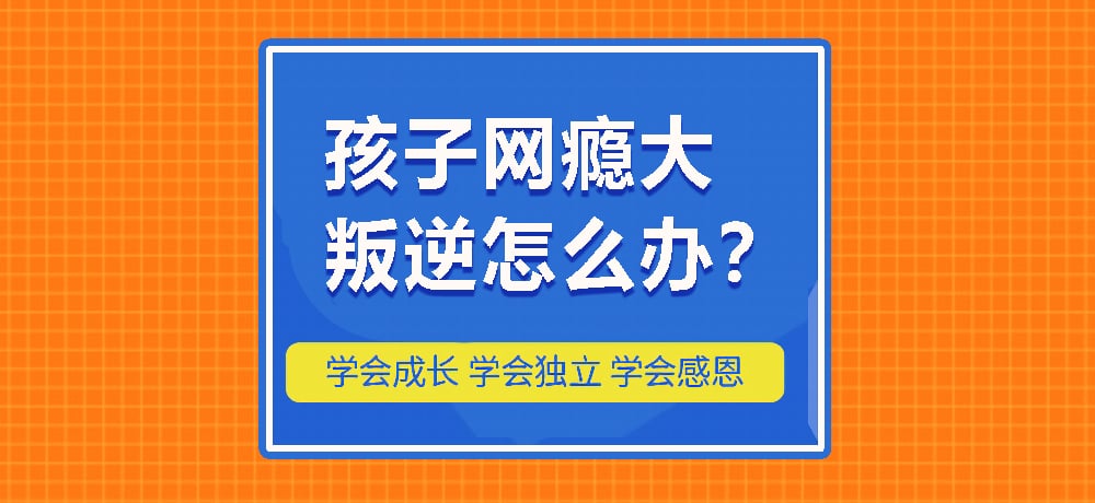 叛逆戒网瘾图片