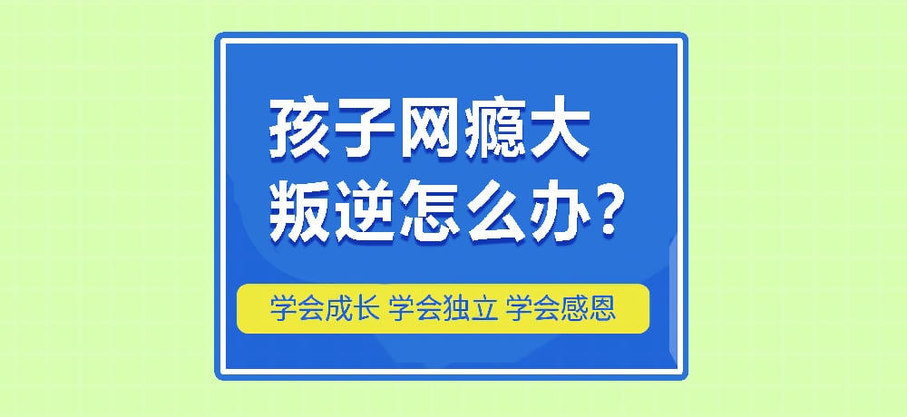 叛逆戒网瘾图片