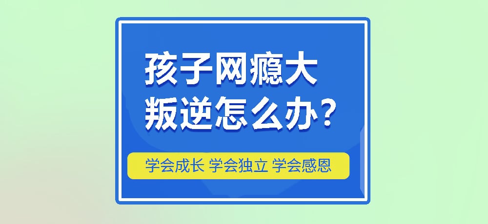 叛逆戒网瘾图片