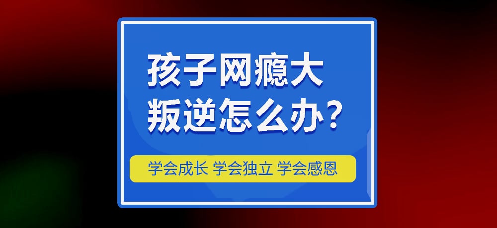 叛逆戒网瘾图片