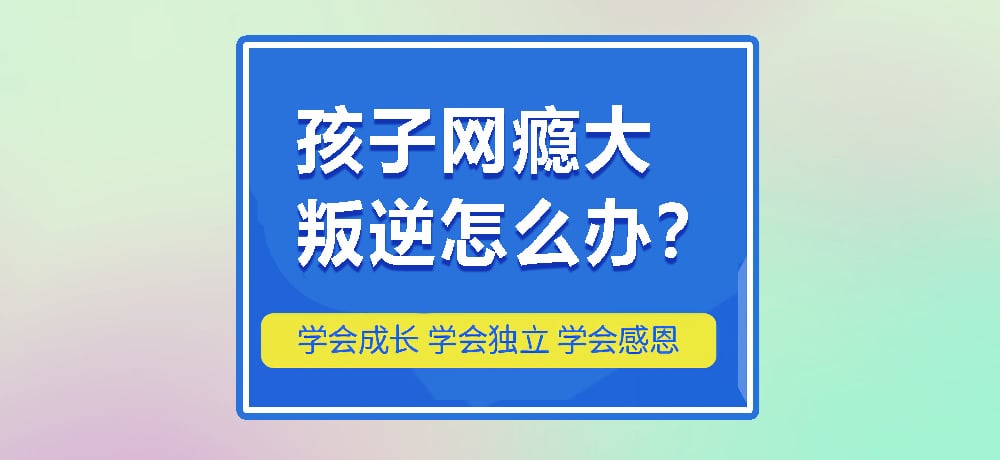 叛逆戒网瘾图片