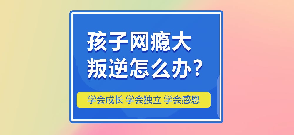 叛逆戒网瘾图片